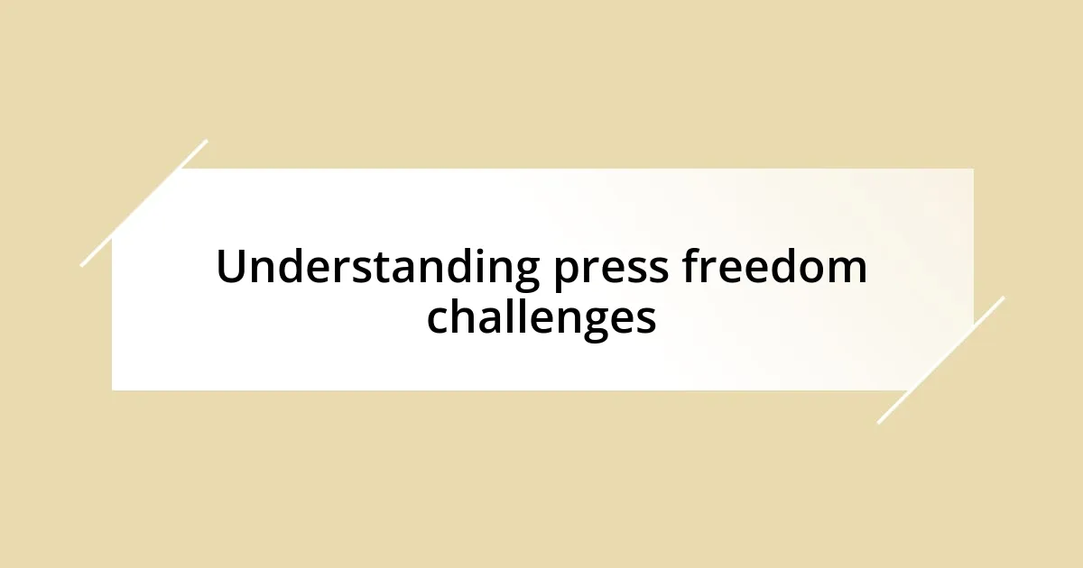 Understanding press freedom challenges